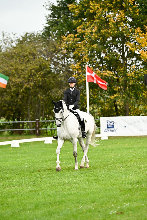 9-12.10.2025 Ströhen | Celina Weis - Cornets Cylano _02 