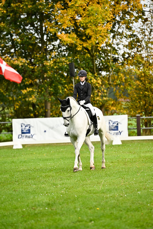 9-12.10.2025 Ströhen | Celina Weis - Cornets Cylano _19 