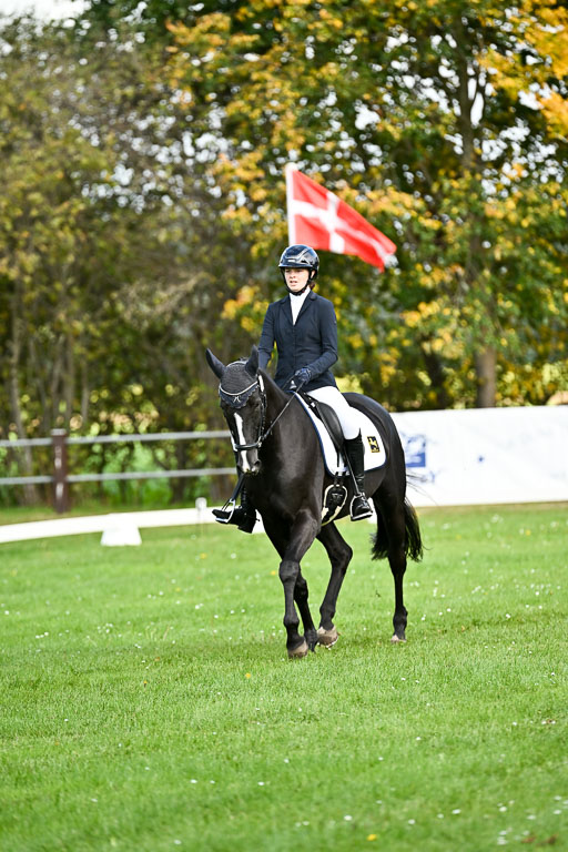 9-12.10.2025 Ströhen | Hanna Niessen - First Class 