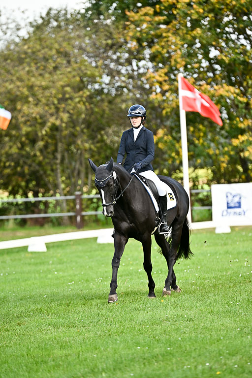 9-12.10.2025 Ströhen | Hanna Niessen - First Class_01 