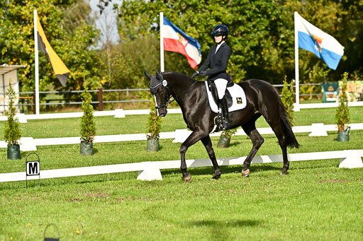 9-12.10.2025 Ströhen | Hanna Niessen - First Class_04 