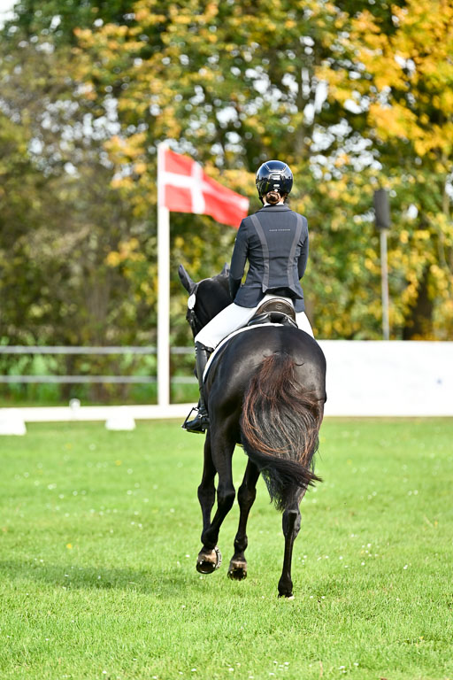 9-12.10.2025 Ströhen | Hanna Niessen - First Class_07 