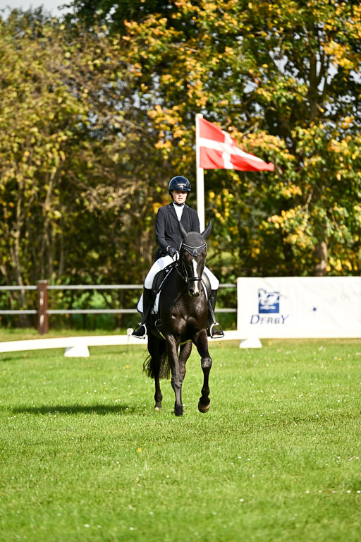 9-12.10.2025 Ströhen | Hanna Niessen - First Class_08 