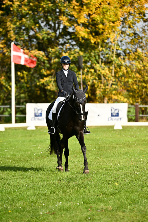 9-12.10.2025 Ströhen | Hanna Niessen - First Class_09 