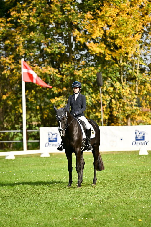 9-12.10.2025 Ströhen | Hanna Niessen - First Class_10 