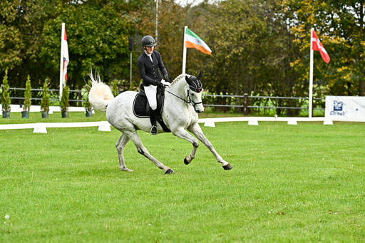 9-12.10.2025 Ströhen | Helene Bürenheide - Calomini _06 