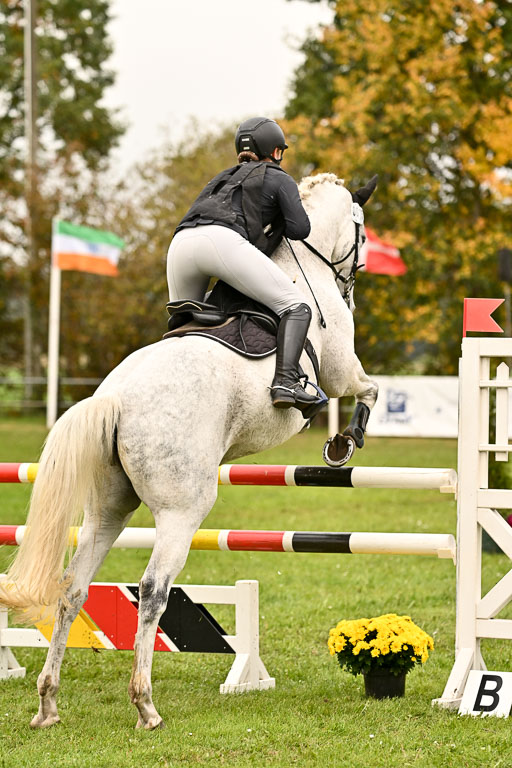 9-12.10.2025 Ströhen | Helene Bürenheide - Calomini _24 