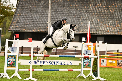 9-12.10.2025 Ströhen | Helene Bürenheide - Calomini _26 