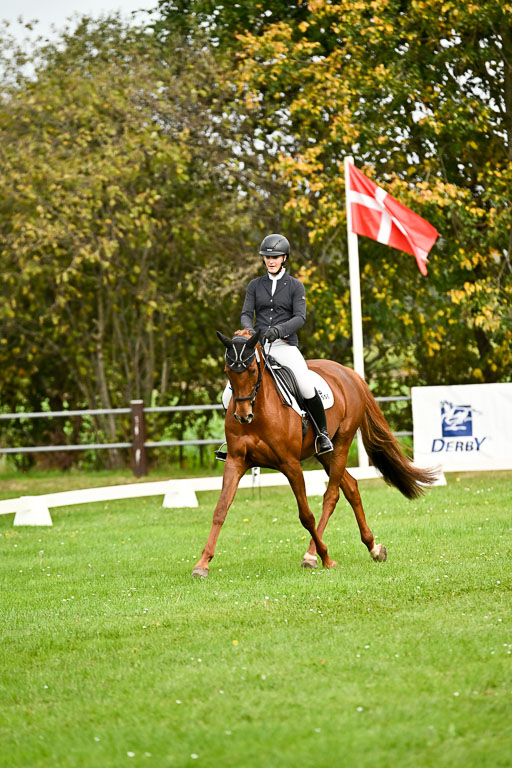 9-12.10.2025 Ströhen | Helene Bürenheide - Cassedy _04 