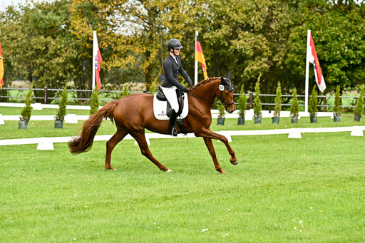 9-12.10.2025 Ströhen | Helene Bürenheide - Cassedy _09 