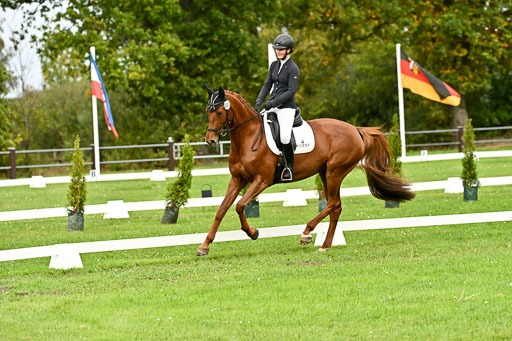 9-12.10.2025 Ströhen | Helene Bürenheide - Cassedy _11 