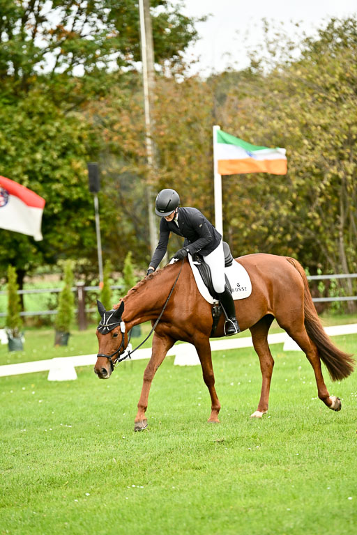 9-12.10.2025 Ströhen | Helene Bürenheide - Cassedy _15 