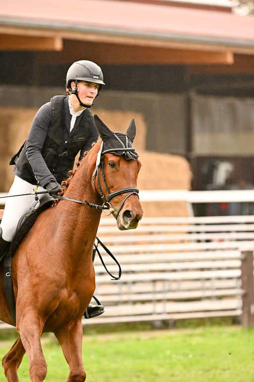 9-12.10.2025 Ströhen | Helene Bürenheide - Cassedy _22 