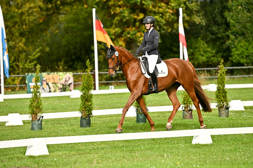 9-12.10.2025 Ströhen | Helene Bürenheide - Cassedy 