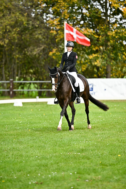  | Imke Schlütter - Ibiska _01 