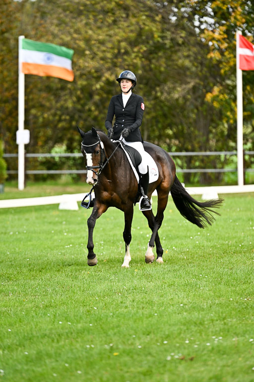  | Imke Schlütter - Ibiska _02 