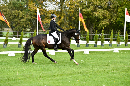  | Imke Schlütter - Ibiska _05 