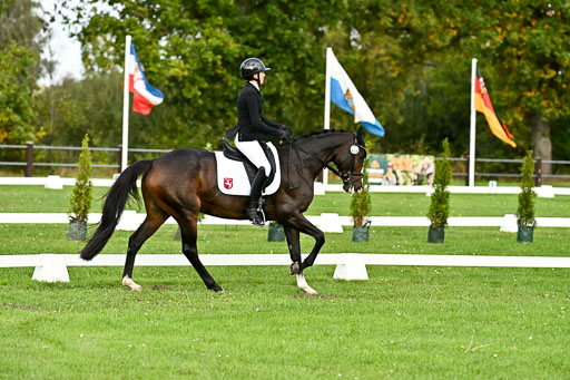  | Imke Schlütter - Ibiska _06 