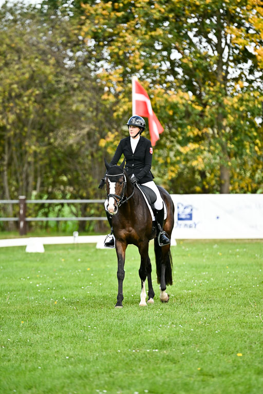  | Imke Schlütter - Ibiska _10 