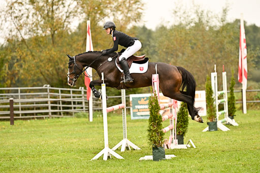  | Imke Schlütter - Ibiska _13 