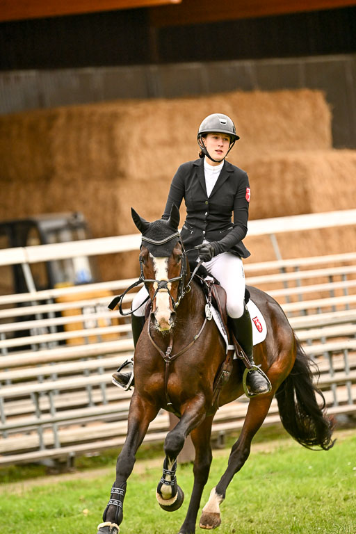  | Imke Schlütter - Ibiska _14 