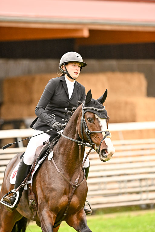  | Imke Schlütter - Ibiska _16 