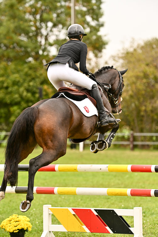  | Imke Schlütter - Ibiska _17 