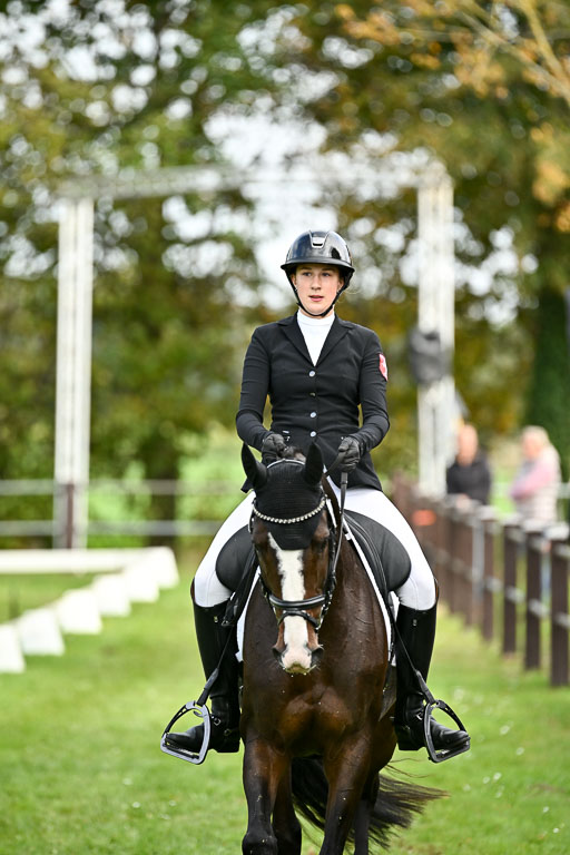  | Imke Schlütter - Ibiska 