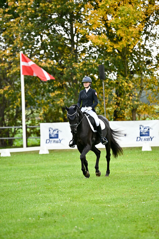 9-12.10.2025 Ströhen | Karlotta Annabelle Walla - Dauer Power 