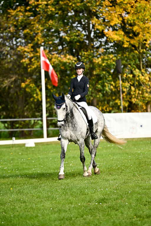 9-12.10.2025 Ströhen | Liv Weis - Afdastra Golden _01 