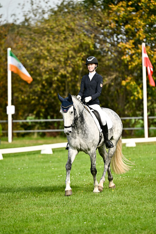 9-12.10.2025 Ströhen | Liv Weis - Afdastra Golden _02 
