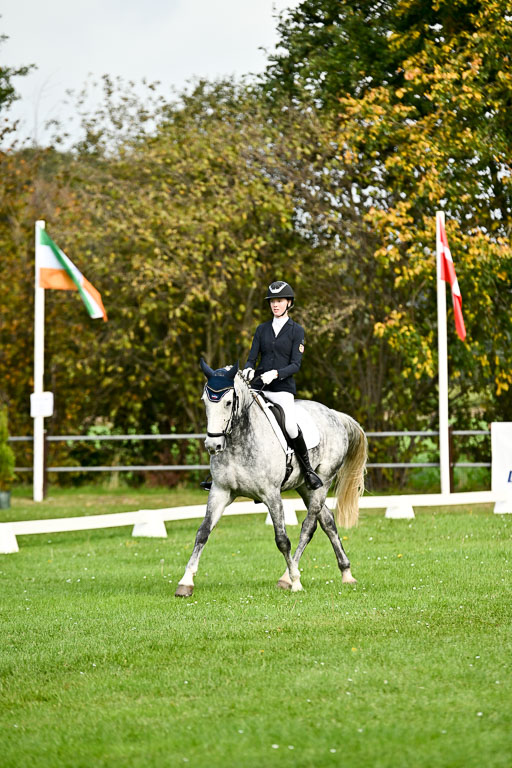 9-12.10.2025 Ströhen | Liv Weis - Afdastra Golden _03 