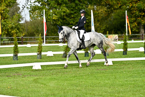 9-12.10.2025 Ströhen | Liv Weis - Afdastra Golden _07 