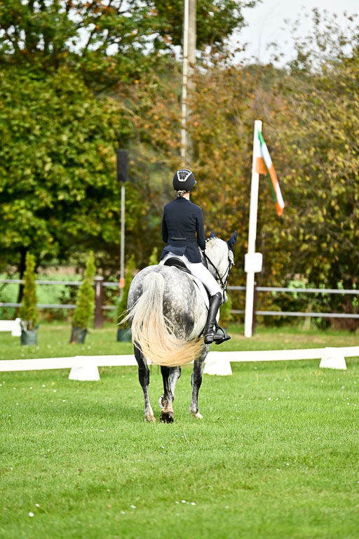 9-12.10.2025 Ströhen | Liv Weis - Afdastra Golden _08 
