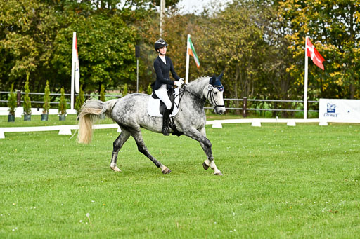9-12.10.2025 Ströhen | Liv Weis - Afdastra Golden _09 