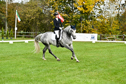 9-12.10.2025 Ströhen | Liv Weis - Afdastra Golden _10 