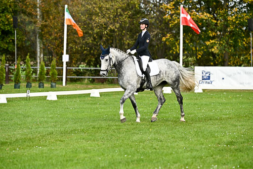 9-12.10.2025 Ströhen | Liv Weis - Afdastra Golden _11 