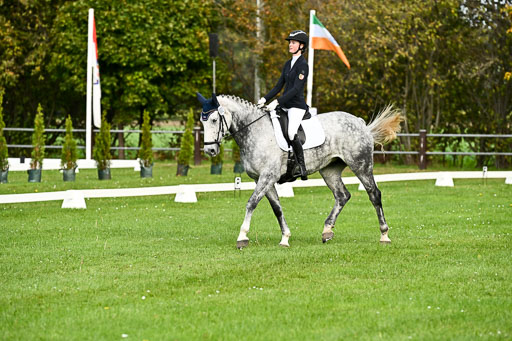 9-12.10.2025 Ströhen | Liv Weis - Afdastra Golden _12 