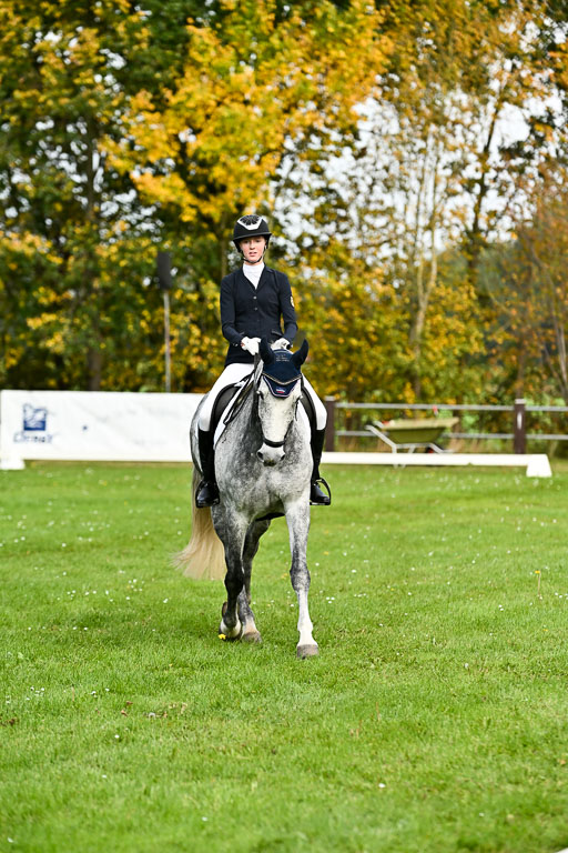9-12.10.2025 Ströhen | Liv Weis - Afdastra Golden _18 