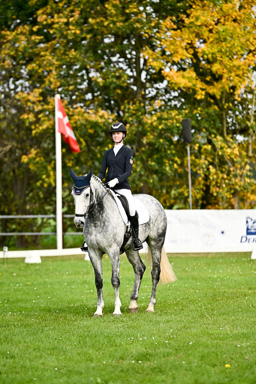 9-12.10.2025 Ströhen | Liv Weis - Afdastra Golden _19 