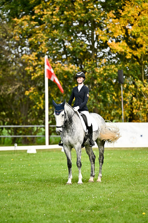 9-12.10.2025 Ströhen | Liv Weis - Afdastra Golden _20 