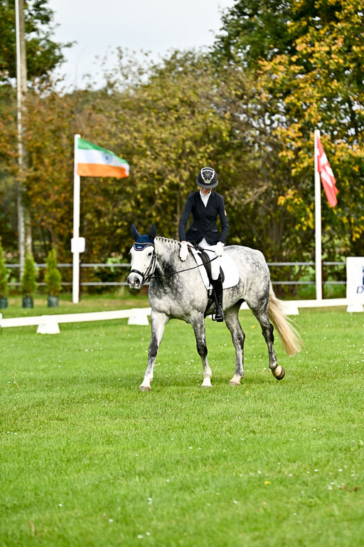 9-12.10.2025 Ströhen | Liv Weis - Afdastra Golden _21 
