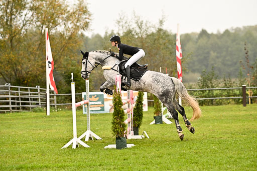 9-12.10.2025 Ströhen | Liv Weis - Afdastra Golden _25 