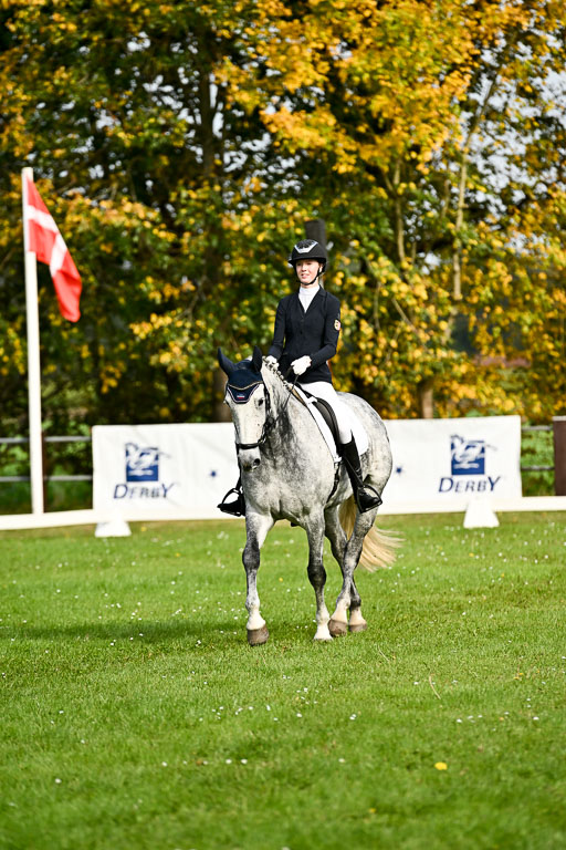9-12.10.2025 Ströhen | Liv Weis - Afdastra Golden 