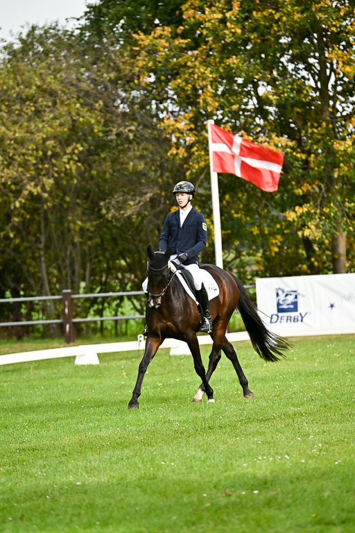  | Max Hausser Knabe - Signums Siggi _02 