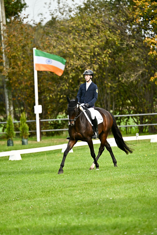  | Max Hausser Knabe - Signums Siggi _03 