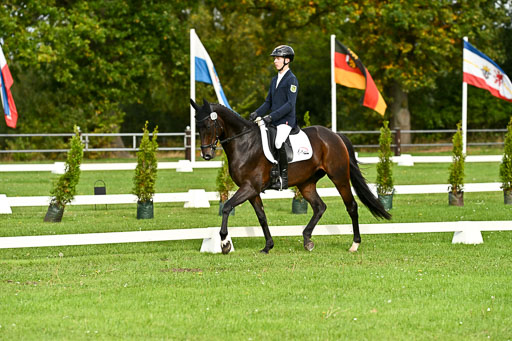  | Max Hausser Knabe - Signums Siggi _05 