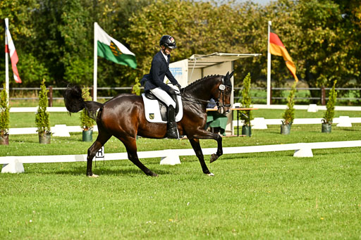  | Max Hausser Knabe - Signums Siggi _06 