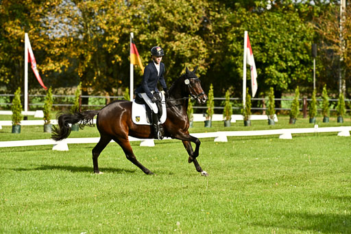  | Max Hausser Knabe - Signums Siggi _07 