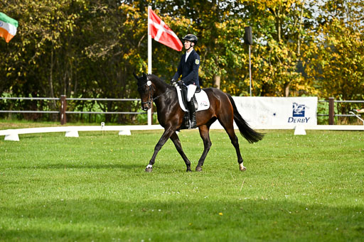  | Max Hausser Knabe - Signums Siggi _08 